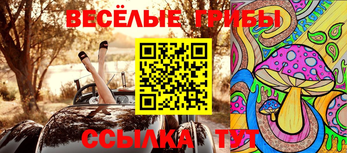 Галлюциногенные грибы Psilocybine cubensis  Вход с VPN  Осинники 