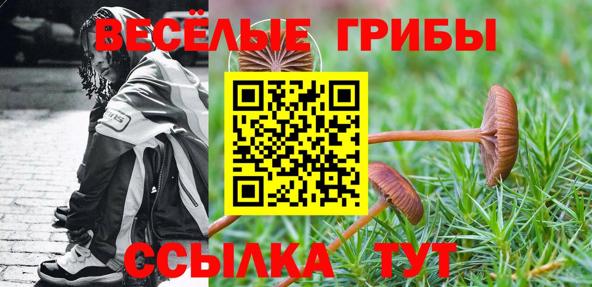Галлюциногенные грибы Psilocybine cubensis Осинники